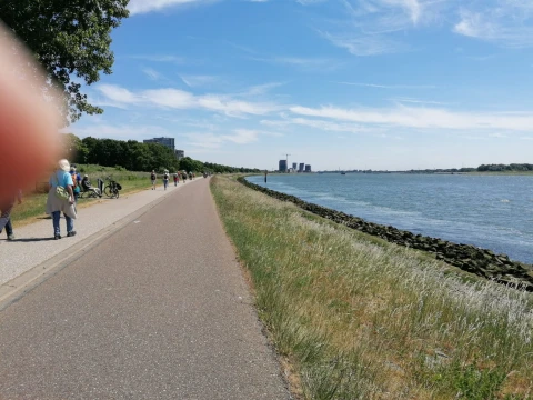 Wandelen 25 mei 2025 Maassluis